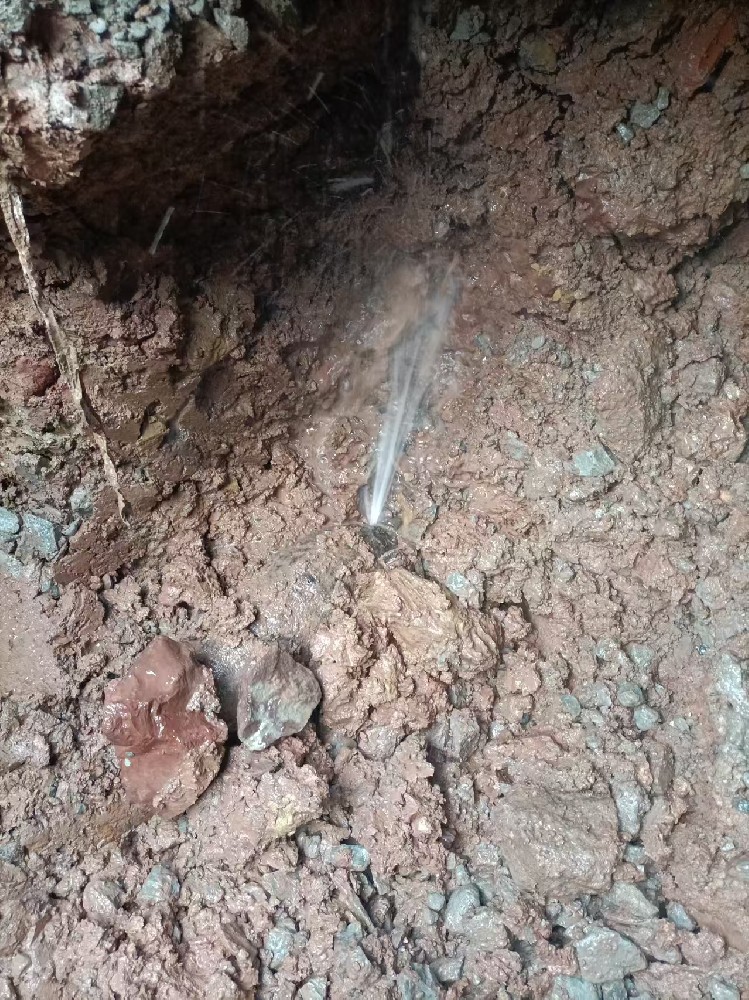 自来水管漏水检测维修（阿城区）