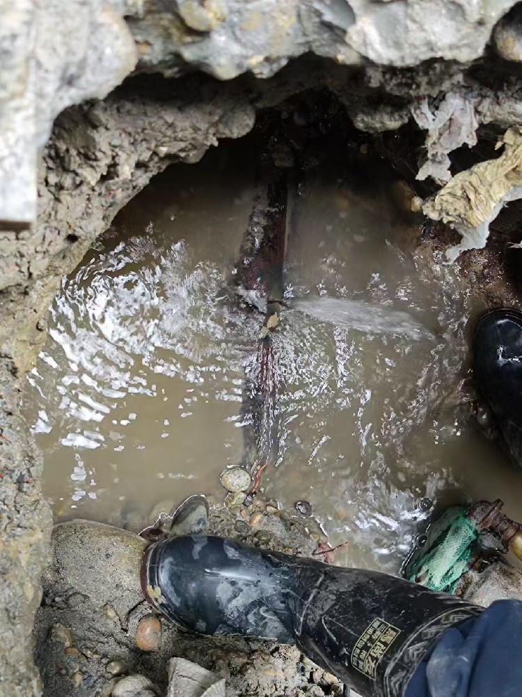 阿城本地绿化水管漏水检测维修